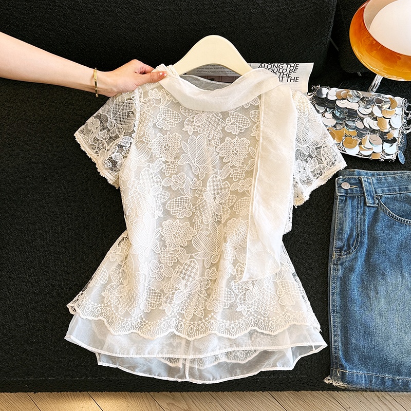 Elegantes Spitzenhemd mit Loch – Embroidery Unique Design Bewertung und Preis
